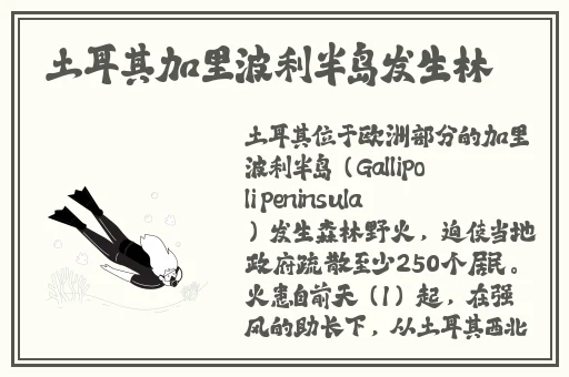 精品国产乱码久久久久久夜夜嗨